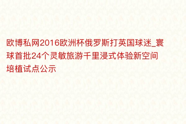 欧博私网2016欧洲杯俄罗斯打英国球迷_寰球首批24个灵敏旅游千里浸式体验新空间培植试点公示