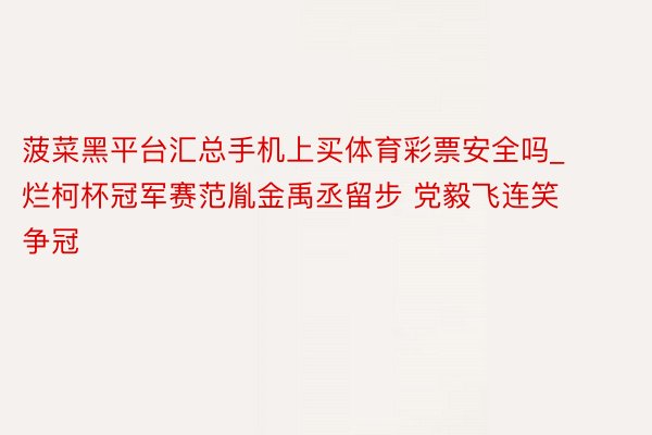 菠菜黑平台汇总手机上买体育彩票安全吗_烂柯杯冠军赛范胤金禹丞留步 党毅飞连笑争冠