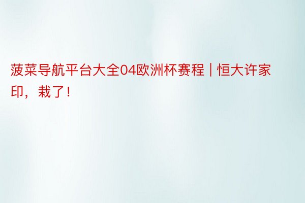 菠菜导航平台大全04欧洲杯赛程 | 恒大许家印，栽了！